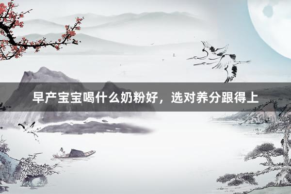 早产宝宝喝什么奶粉好，选对养分跟得上